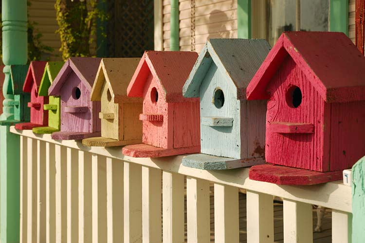 Colorida colección de casetas de pájaros alineadas en la barandilla de un porche.