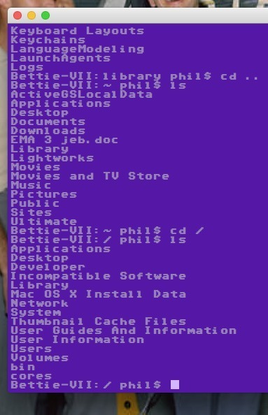 Un nuevo y fantástico terminal con sabor a C64.